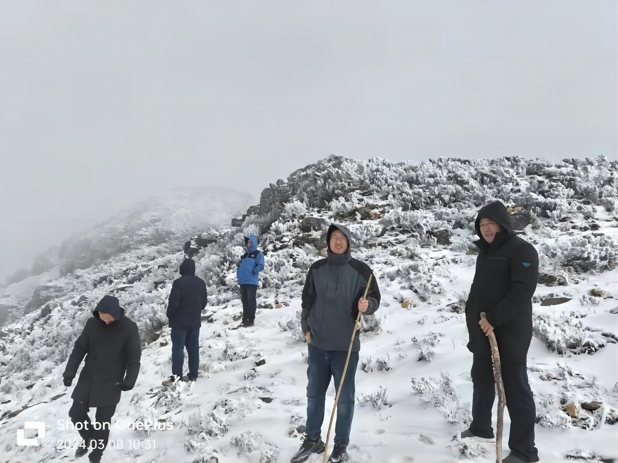傲雪凌霜，，，只为有“锂”